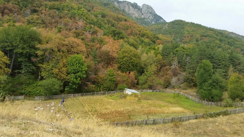 Pe carari de munte - Cozia