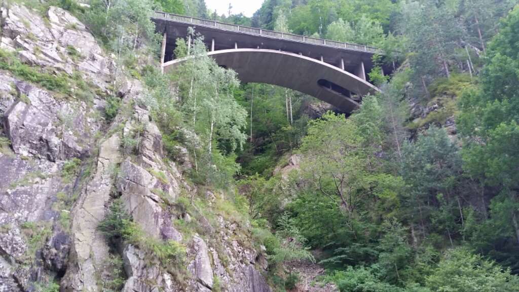 Tabara de vara YO&KFA- Cetatea Poienari