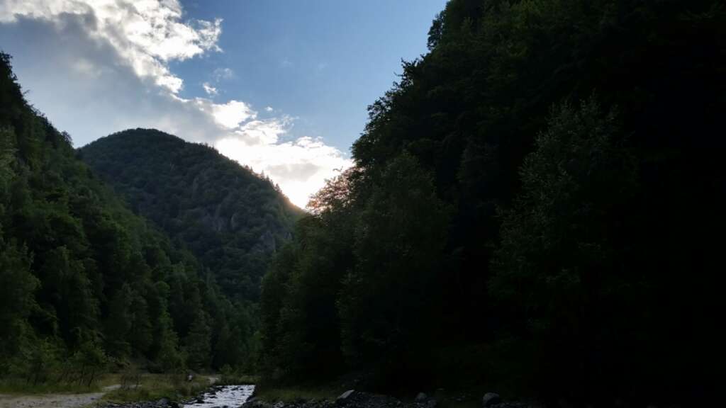 Tabara de vara YO&KFA- Cetatea Poienari