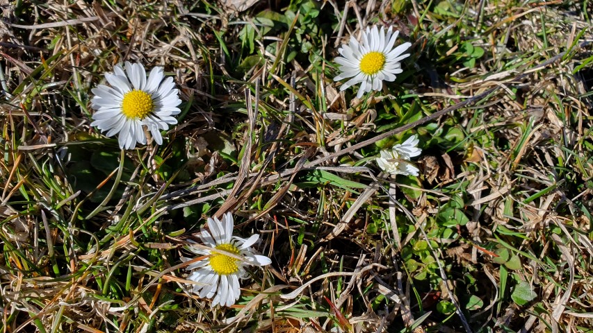 La granita dintre doua anotimpuri