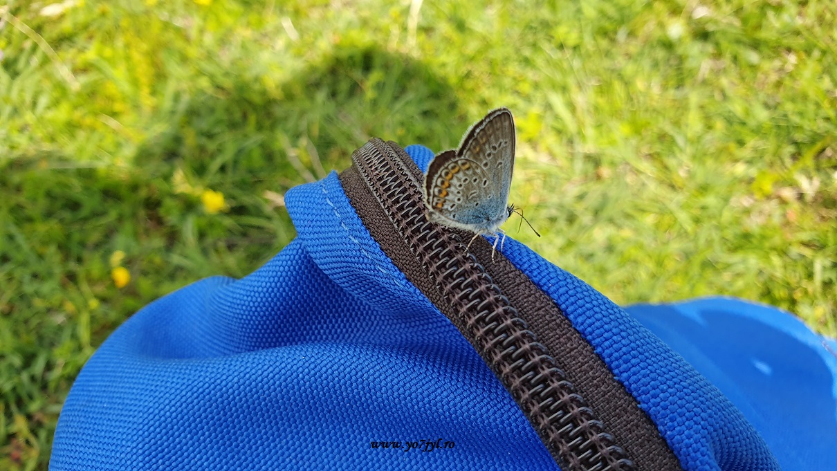 Pe ulițete satului românesc