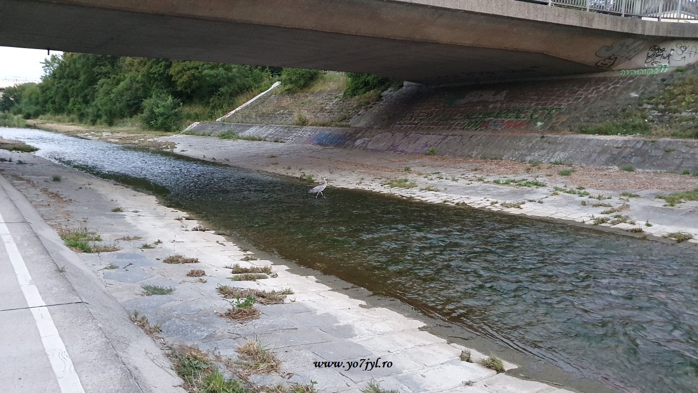 A treia capitală de pe malul Dunării