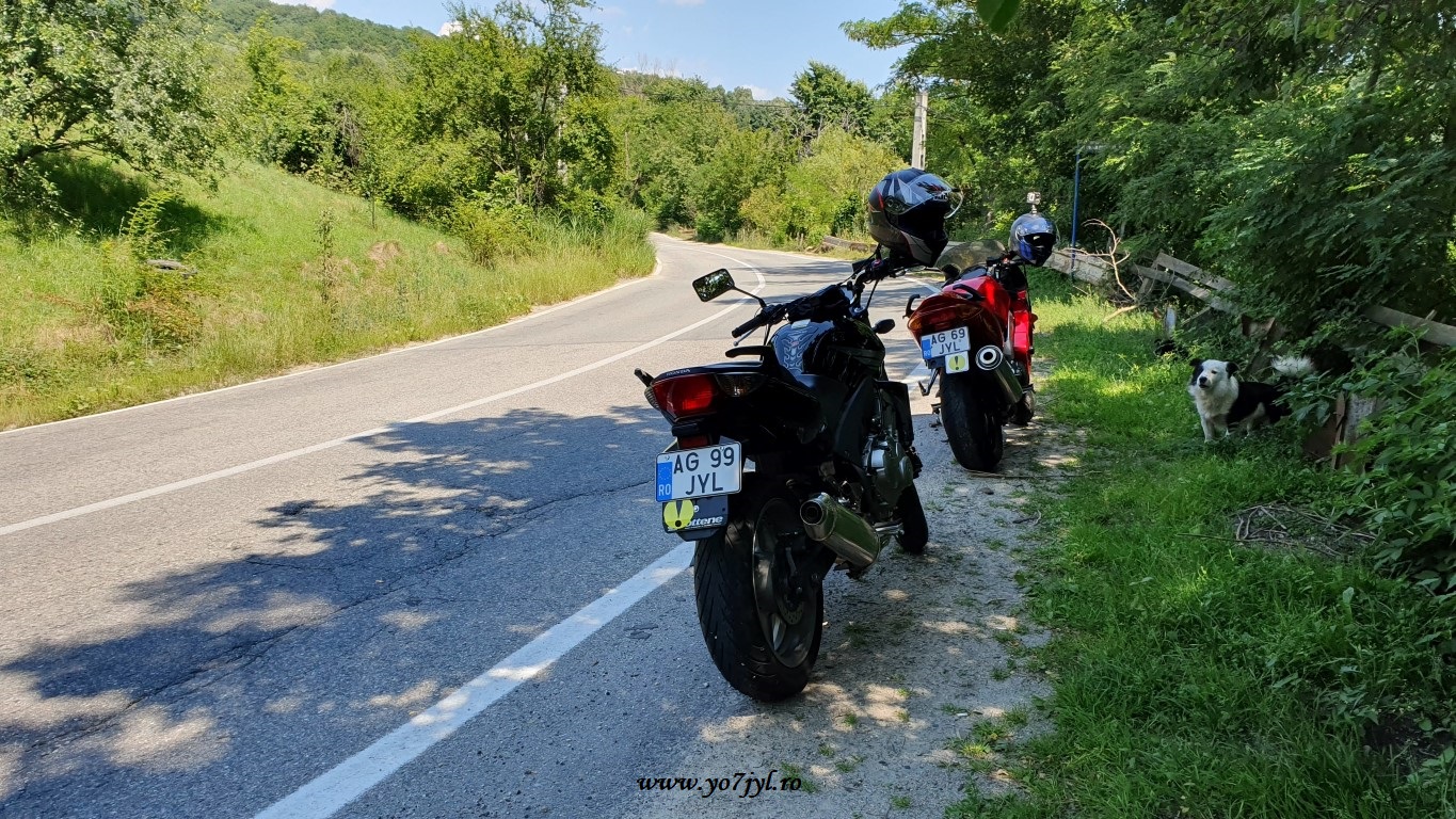 Într-o vară sub Cetatea lui Vlad Țepeș
