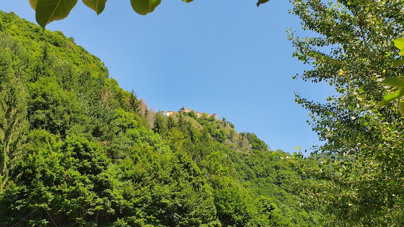 Într-o vară sub Cetatea lui Vlad Țepeș
