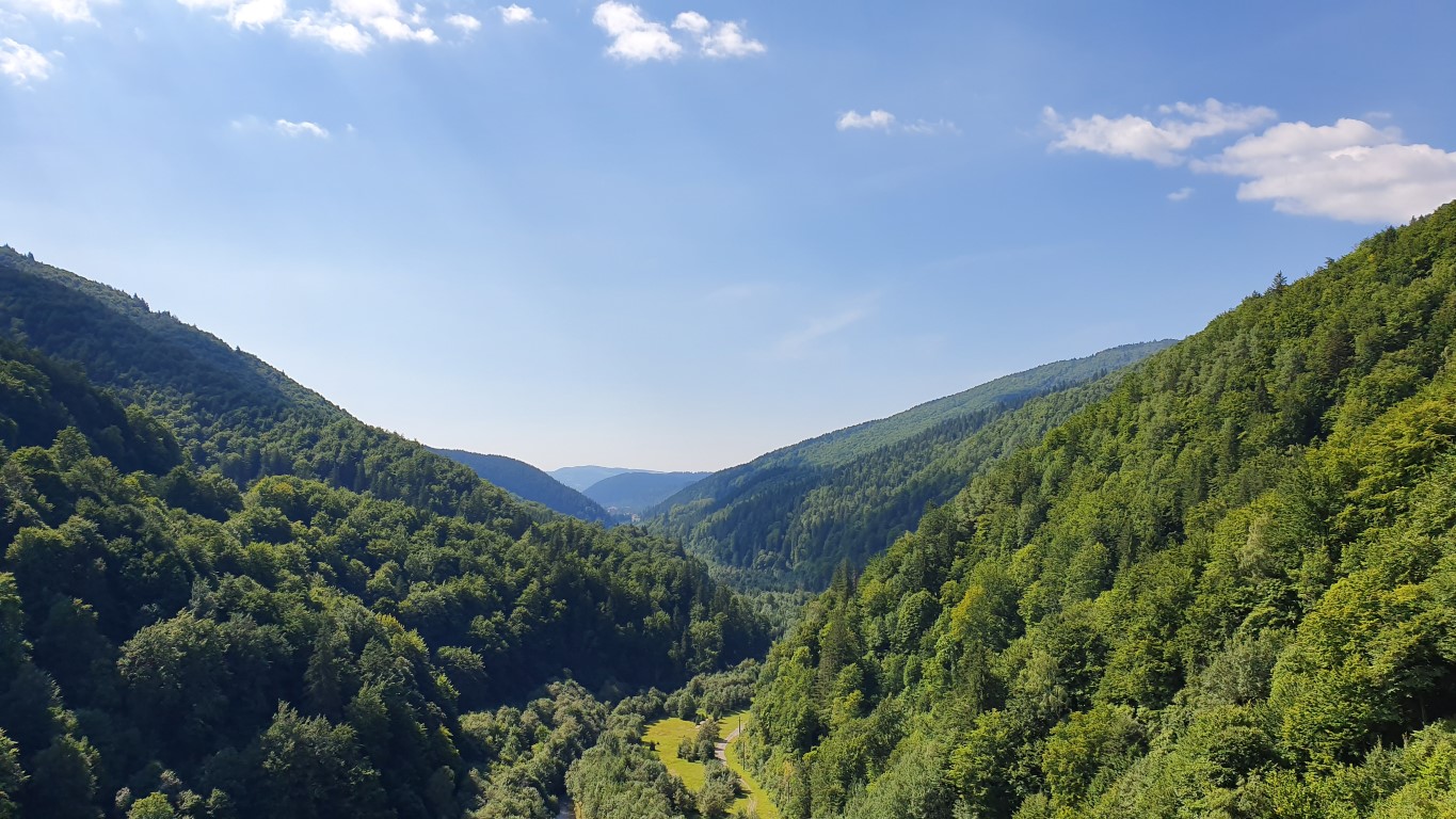 YP0FD- Sărbătoarea naturii la Field Day - august 2019