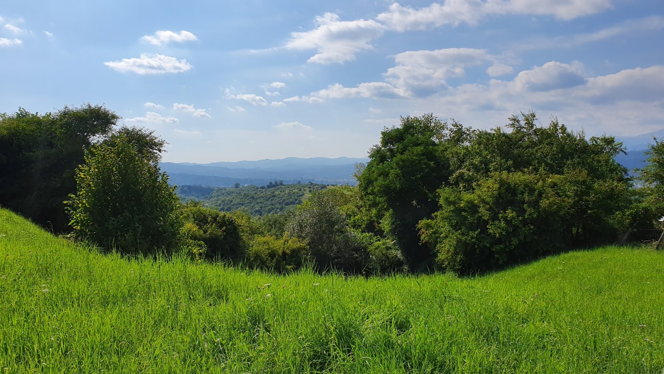 YP0FD- Sărbătoarea naturii la Field Day - august 2019