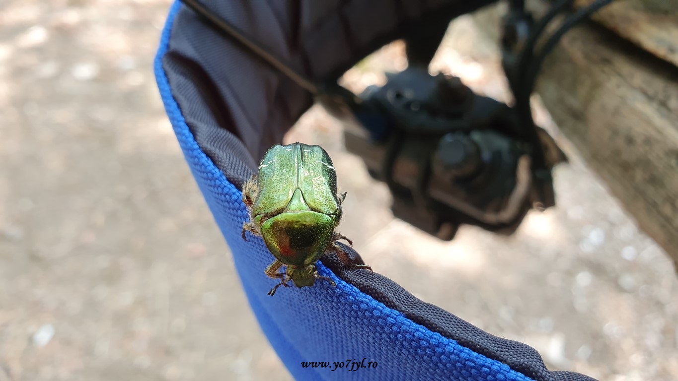 Sfârșit de vară în Parcul Național Domogled-Valea Cernei