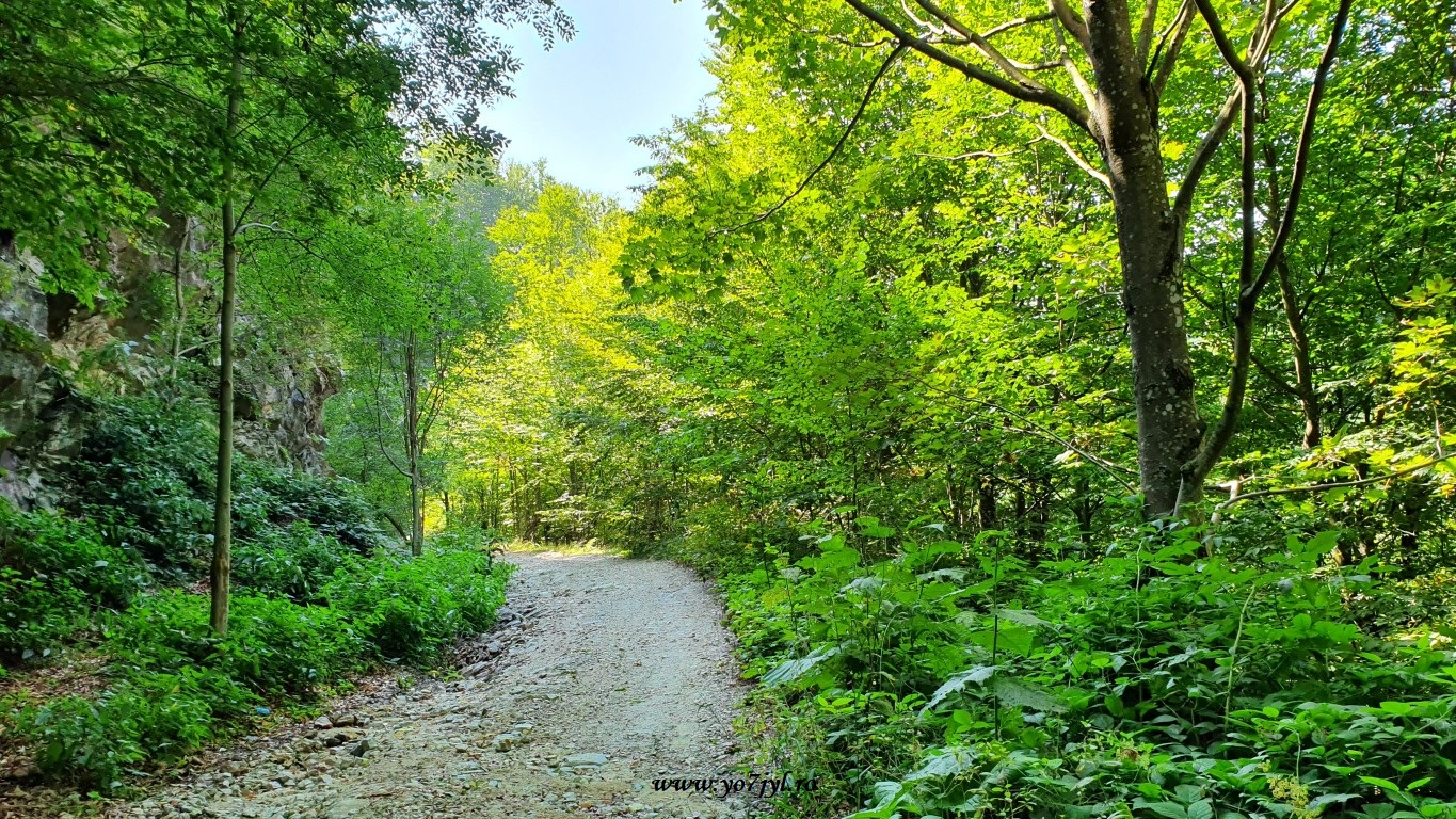 Sfârșit de vară în Parcul Național Domogled-Valea Cernei