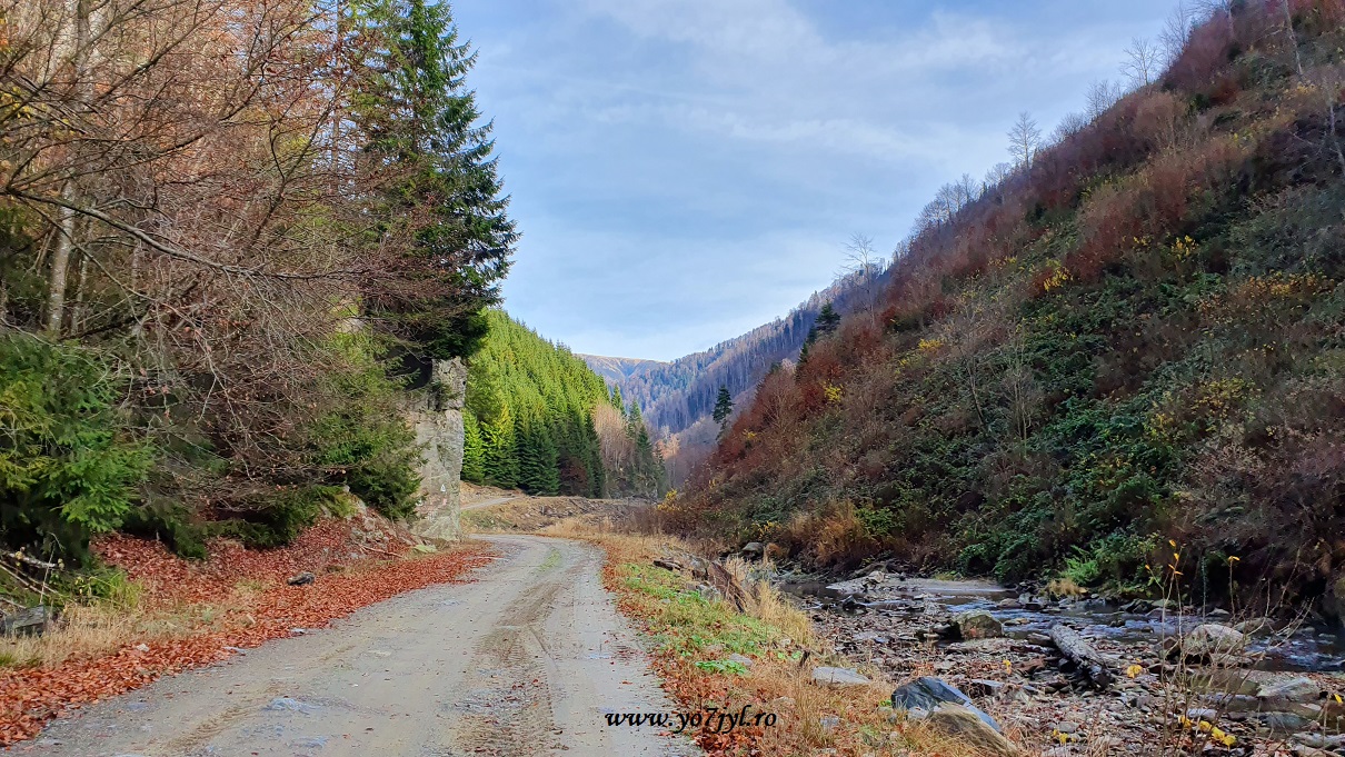 În locurile pe unde toamna nu a trecut
