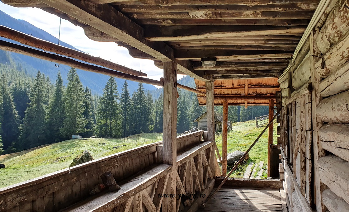 În locurile pe unde toamna nu a trecut