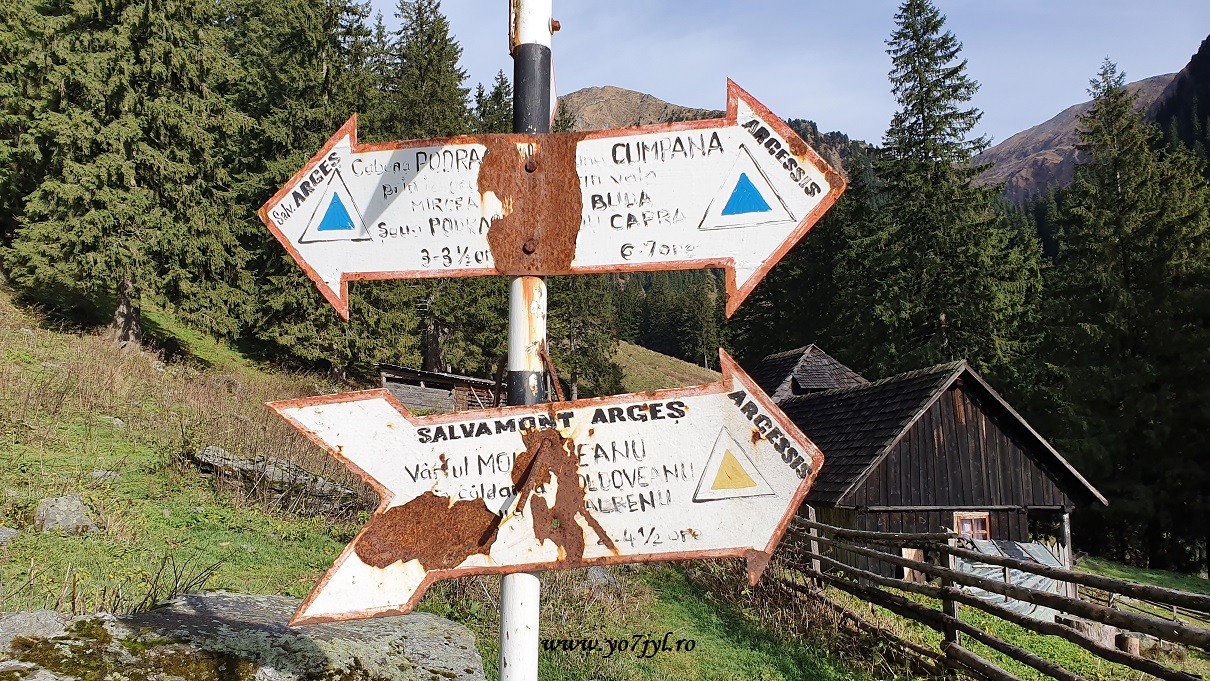 În locurile pe unde toamna nu a trecut