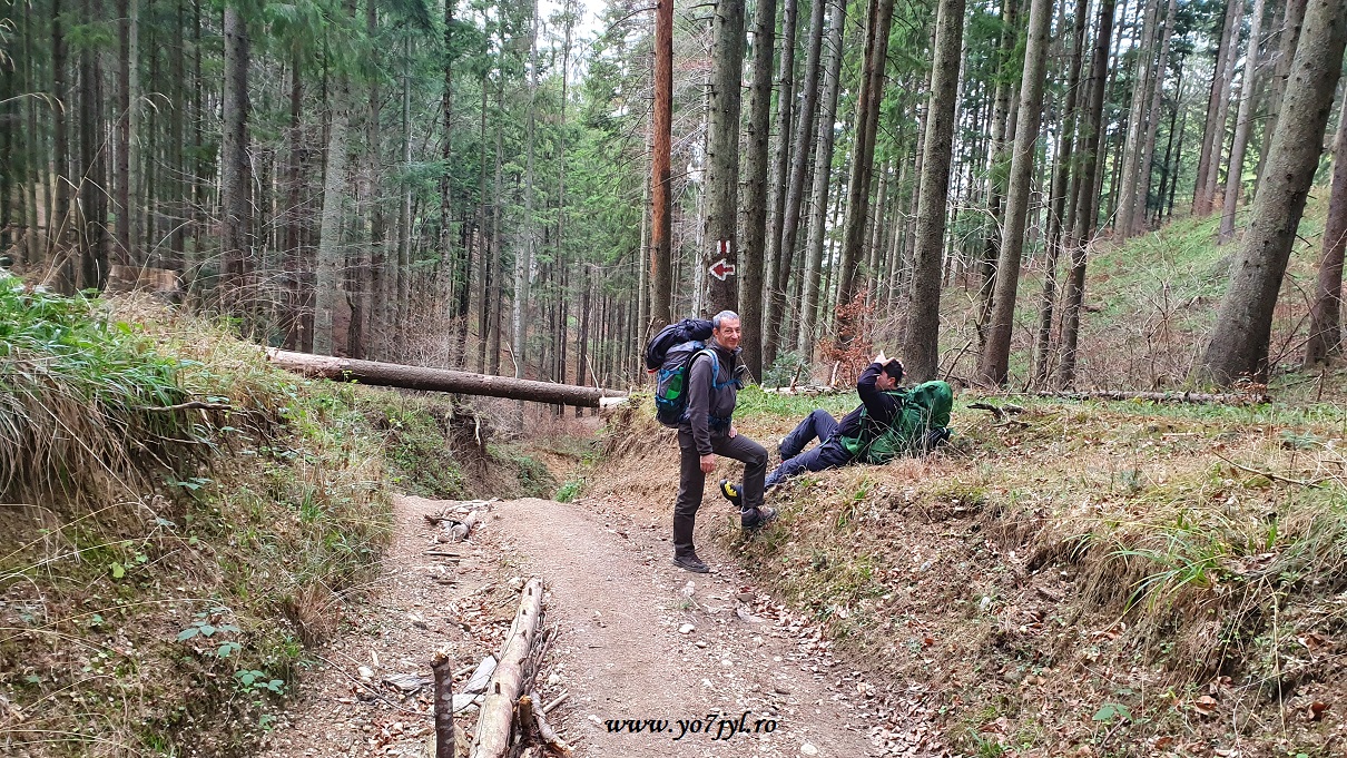 În prag de Crăciun la Cabana Piatra Mare