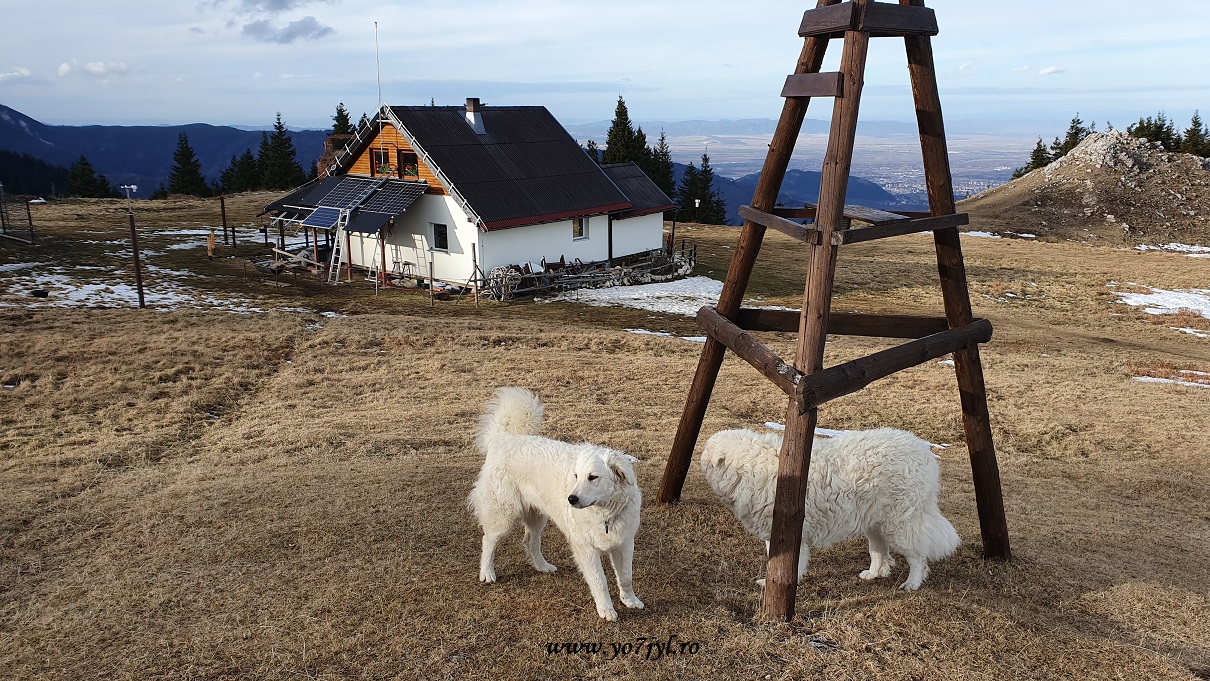 În prag de Crăciun la Cabana Piatra Mare