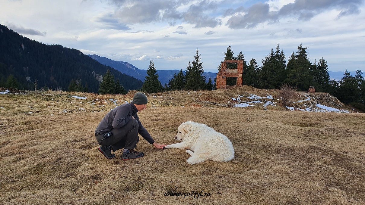 In prag de Craciun la Cabana Piatra Mare
