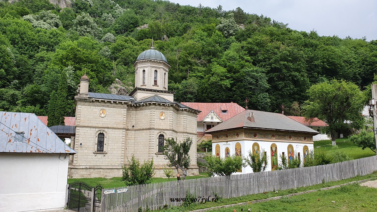 De iarnă de prin munții noștri(180)