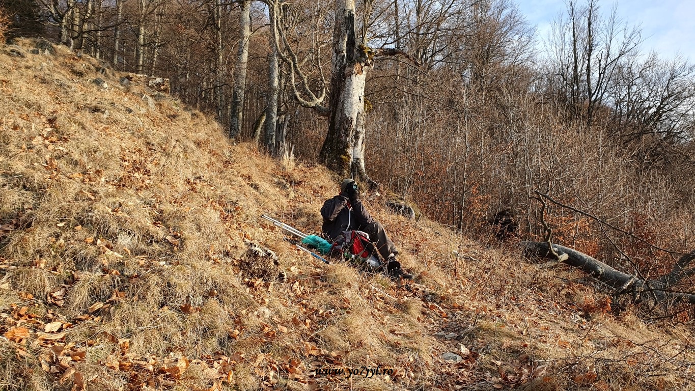 În căutarea zăpezii de ianuarie