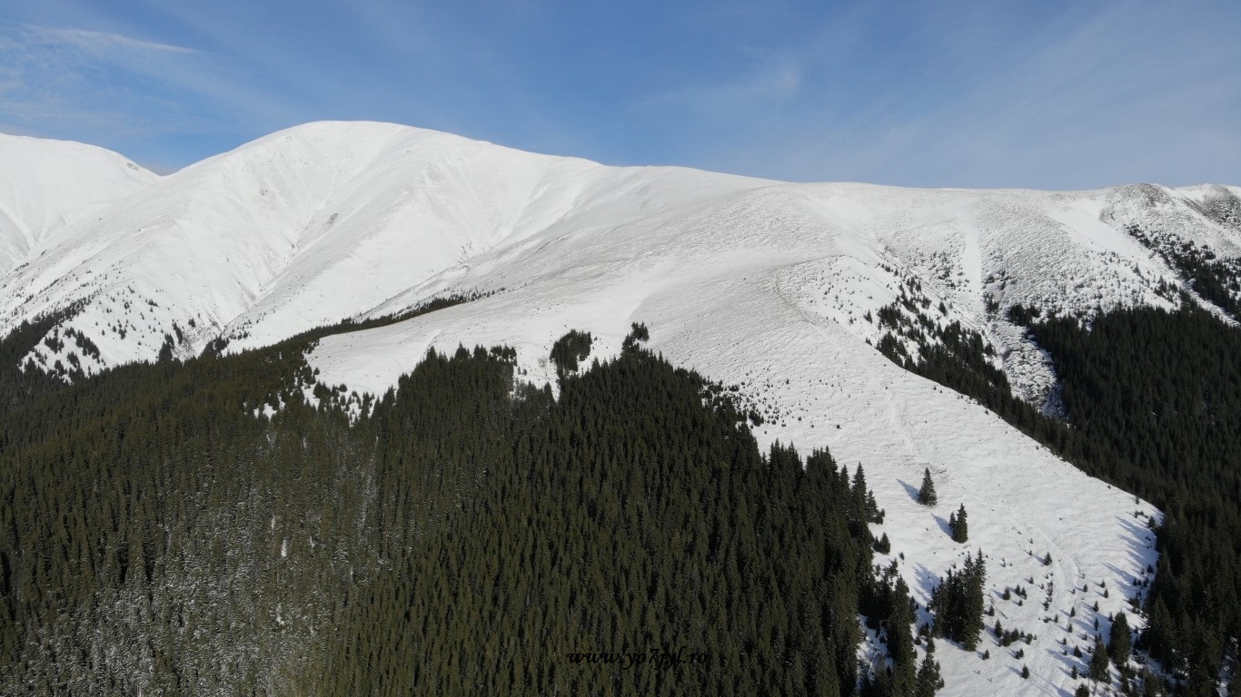 În căutarea zăpezii de ianuarie