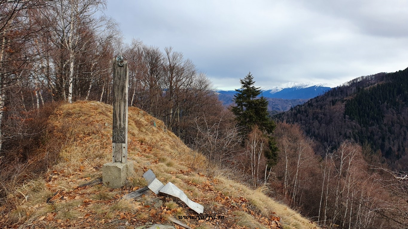 În căutarea zăpezii de ianuarie