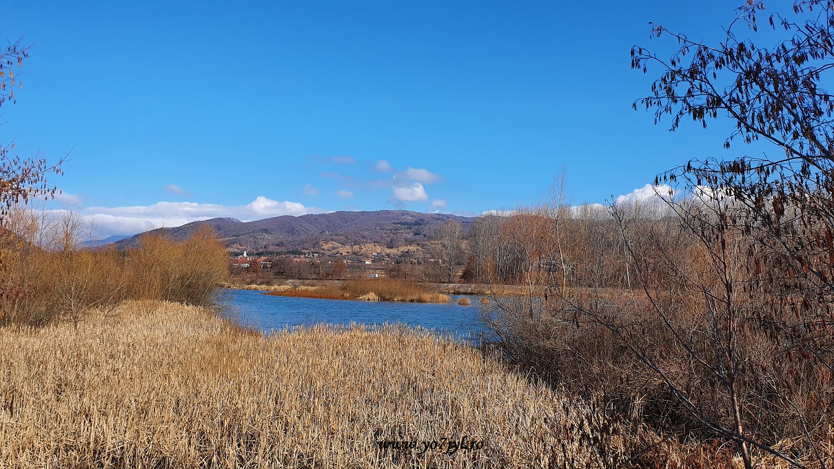 Pe tărâmul iernii în Masivul Cozia