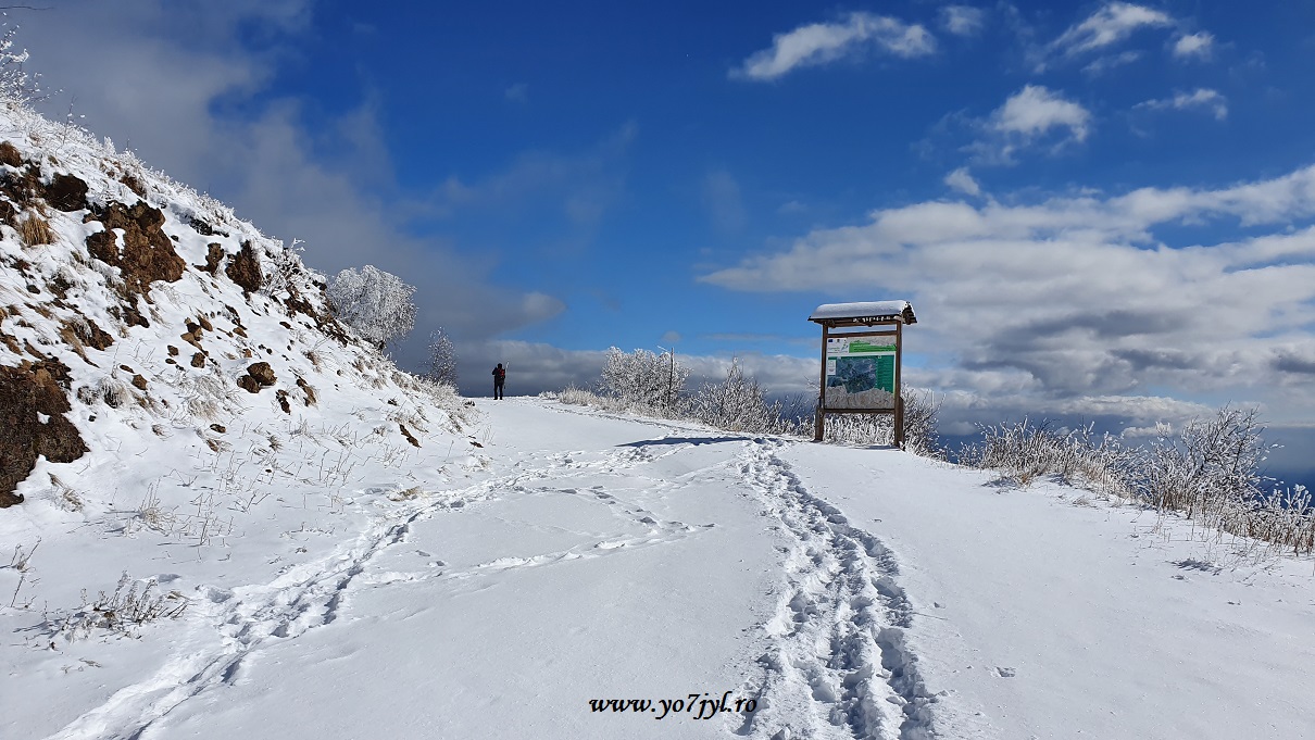 Pe tărâmul iernii în Masivul Cozia