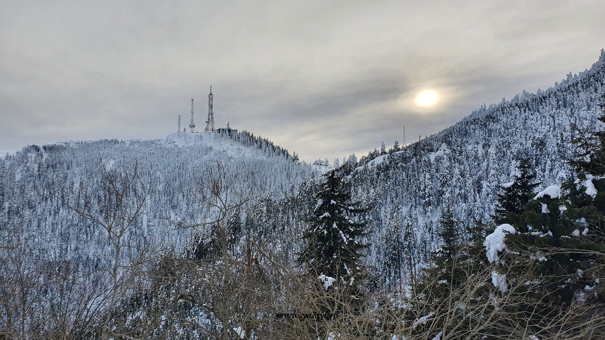 Imagini de ianuarie din Masivul Cozia