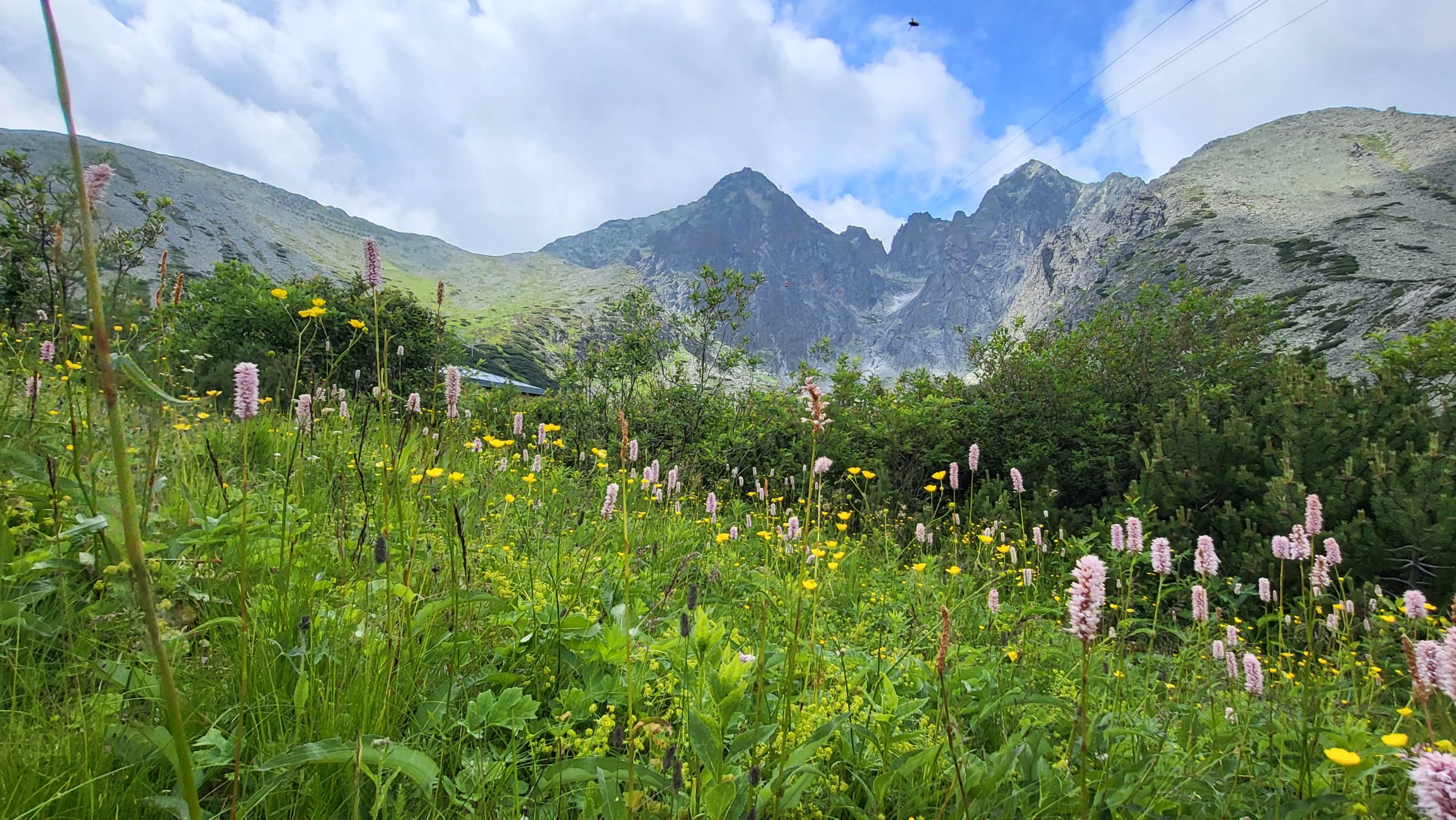Prima vară în Munții Tatra-Slovacia